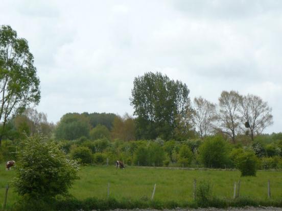 Campagne environnante