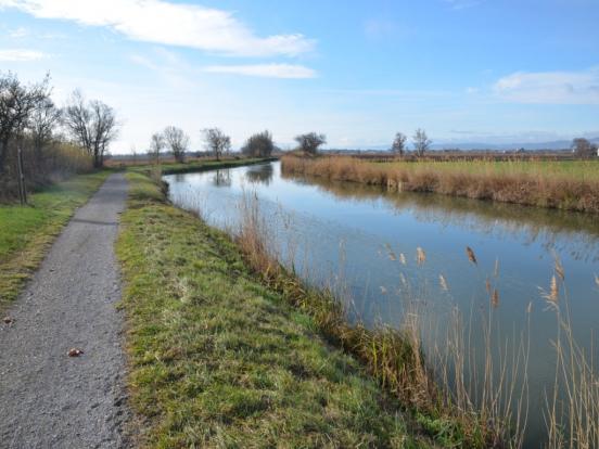 entre canal et étangs