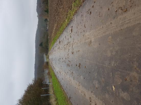 Véloroute en voie partagée